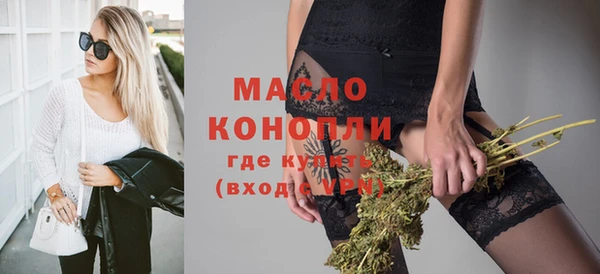 дмт Бородино