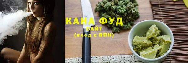 дмт Бородино