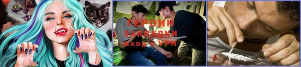 mdpv Богданович