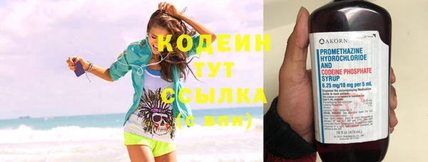дмт Бородино