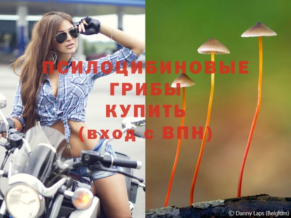 марихуана Богородицк