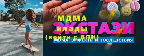 дмт Бородино