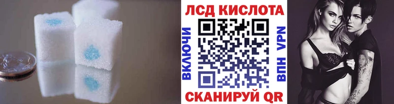 наркота  Курильск  Лсд 25 экстази ecstasy 